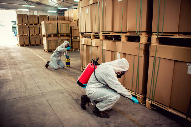 Best Cockroach Control Services  in Gilbert, AZ