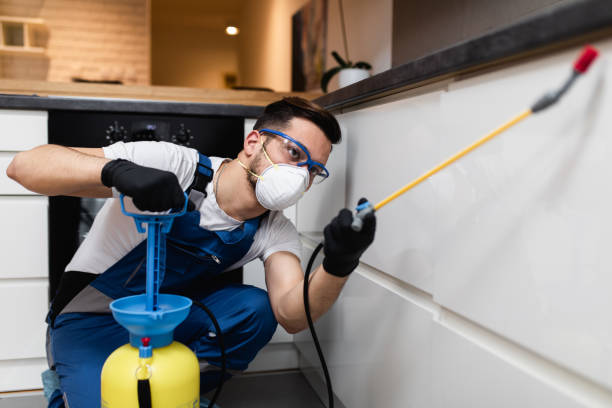 Best Pest Prevention Services  in Gilbert, AZ