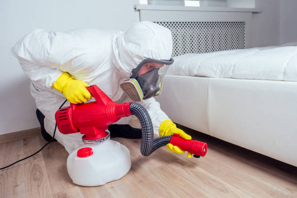Best Best Pest Control Companies  in Gilbert, AZ